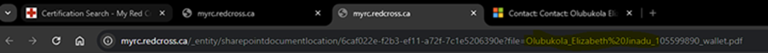 Capture d’écran de l’adresse URL du navigateur
